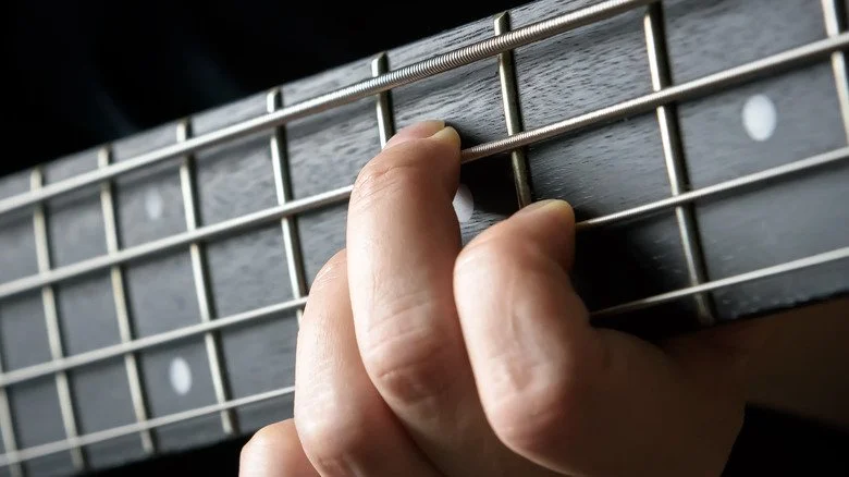 Gros plan sur la basse