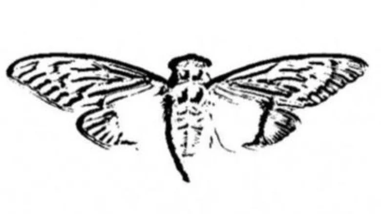 Logo de Cicada 3301