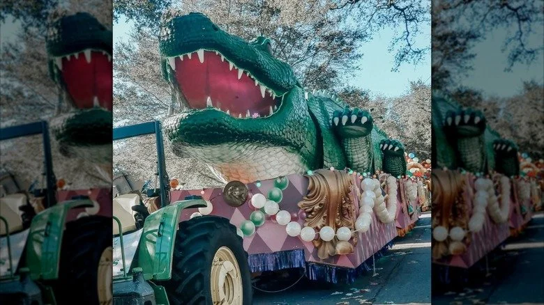 Un python royal enroulé