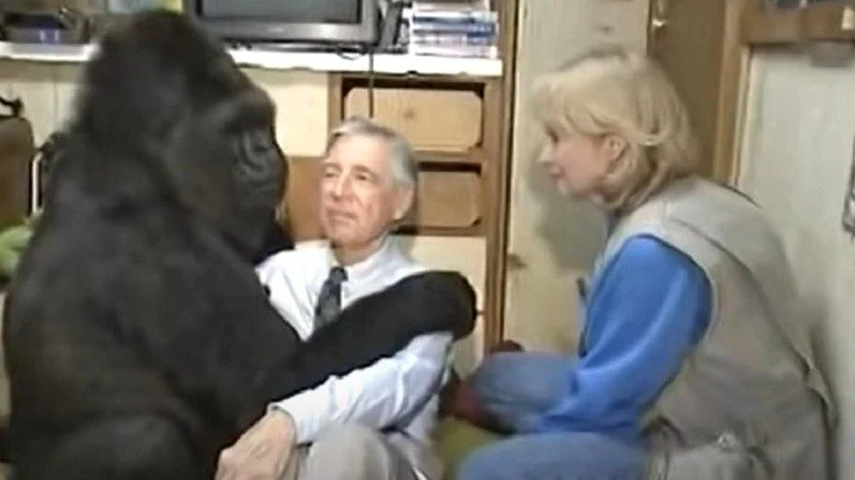 Koko, Mr. Rogers et Penny Patterson