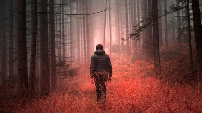 Homme seul dans les bois