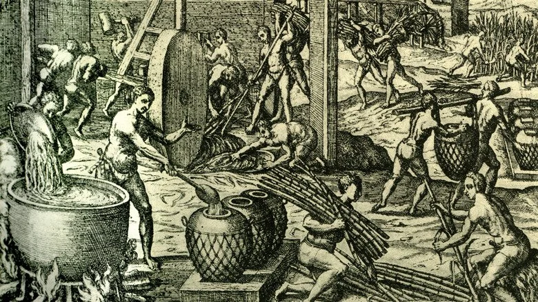 Gravure d'une usine sucrière dans les Caraïbes
