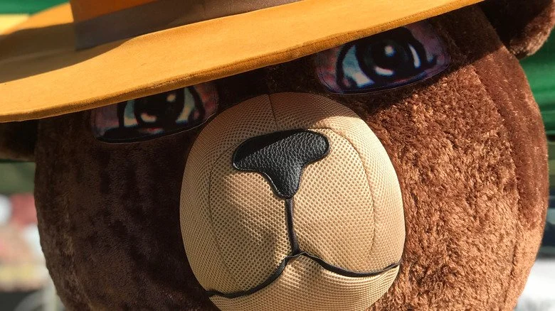 Costume de Smokey Bear en gros plan