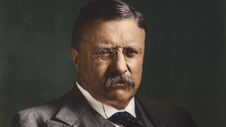 Portrait présidentiel de Teddy Roosevelt