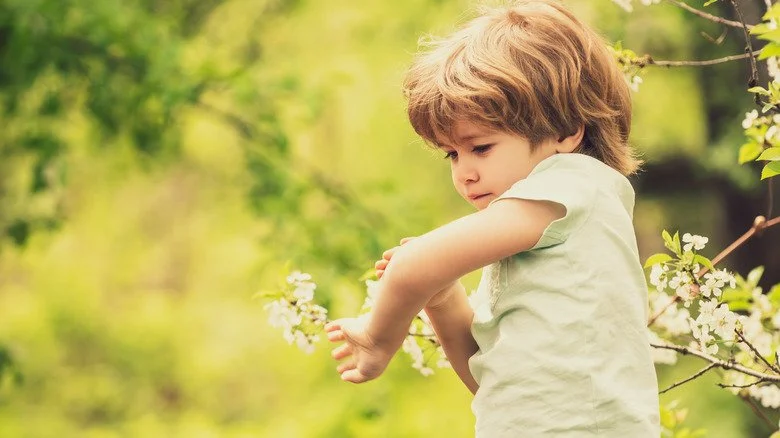Moustique piquant un petit garçon