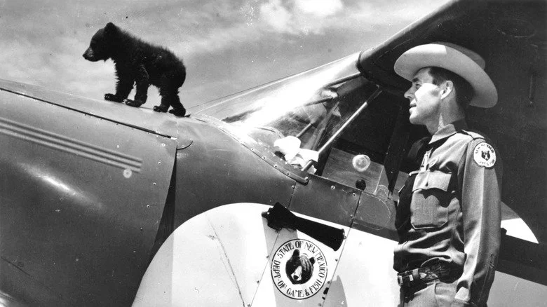 Smokey Bear et Ray Bell