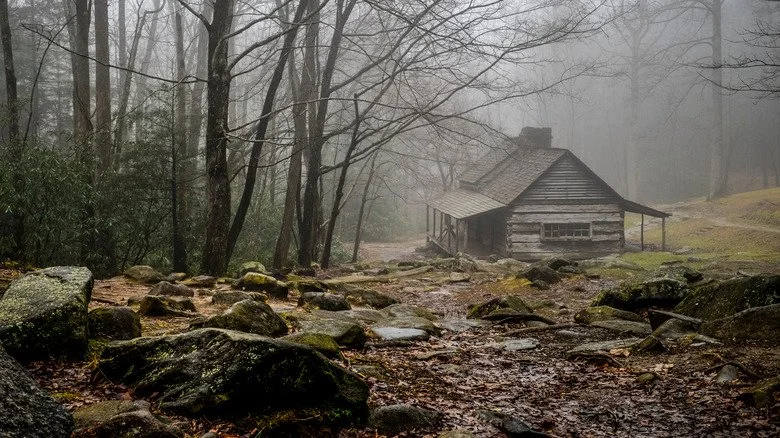 Ancienne cabane dans les bois