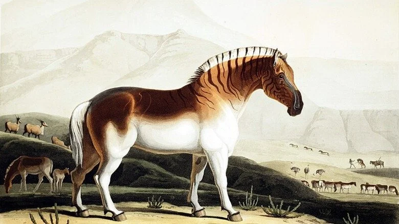 Illustration de quagga dans un paysage africain avec d'autres animaux sauvages
