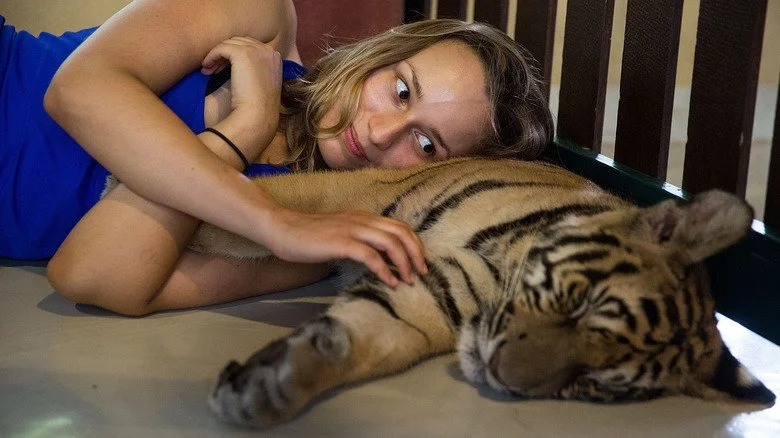 Femme allongée sur un tigre endormi