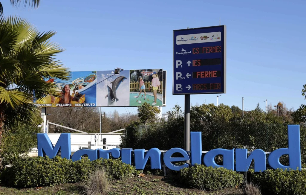 Avenir incertain pour Marineland : orques et salariés en danger