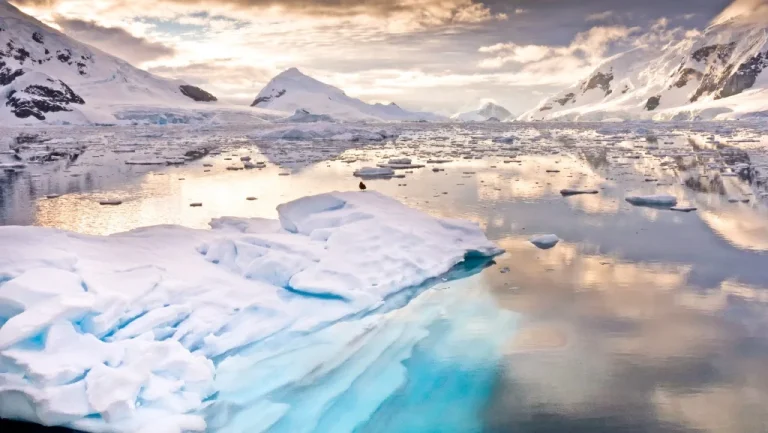 Conséquences de la fonte des glaces en Antarctique