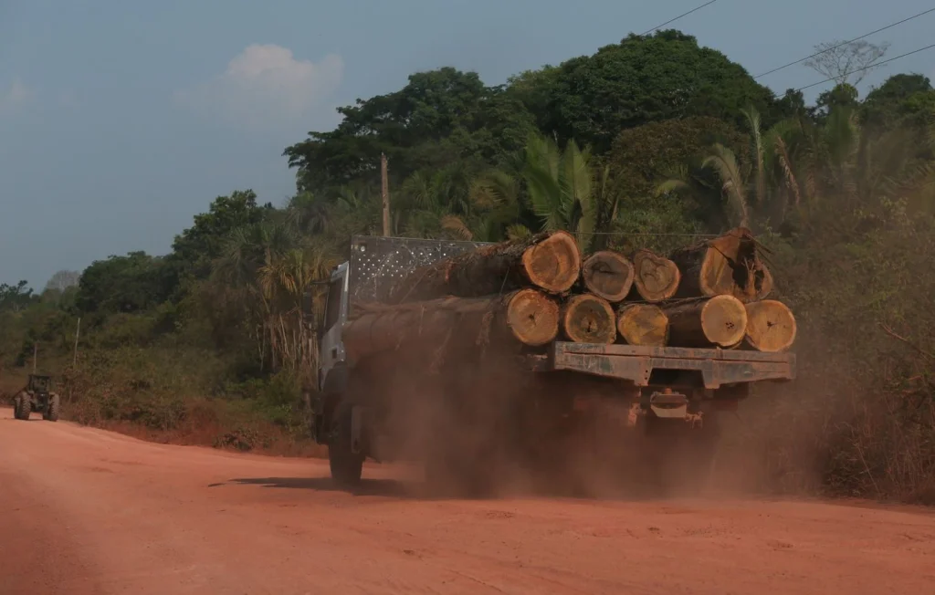 Construction d'une autoroute en Amazonie pour la COP30 au Brésil