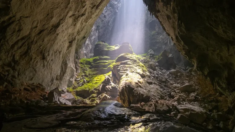 Hang Son Doong : La plus grande grotte avec sa propre forêt tropicale