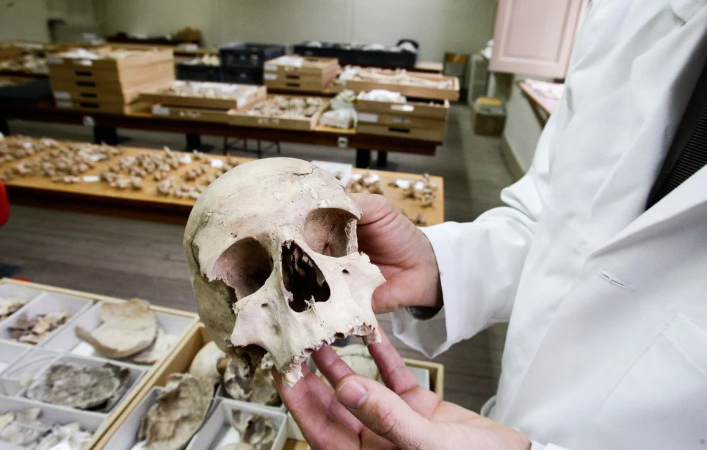 Incarcérations à Nancy après la découverte d'ossements humains