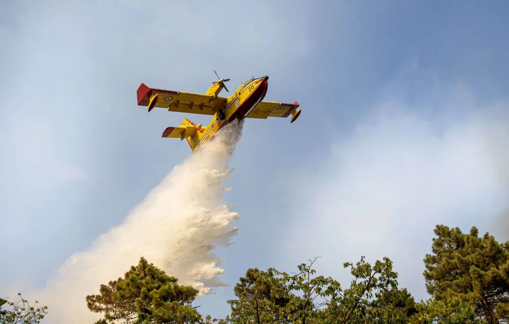 Incendies Contenus dans la Vallée de la Roya : Situation Sous Contrôle