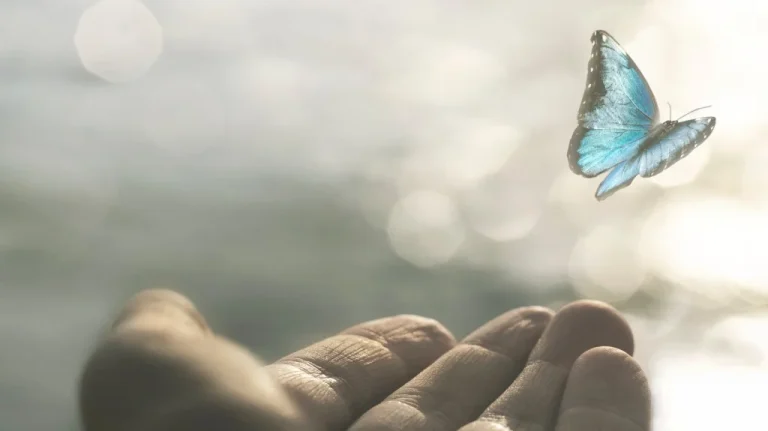 L&rsquo;Apocalypse des Insectes : Le Phénomène du Pare-Brise