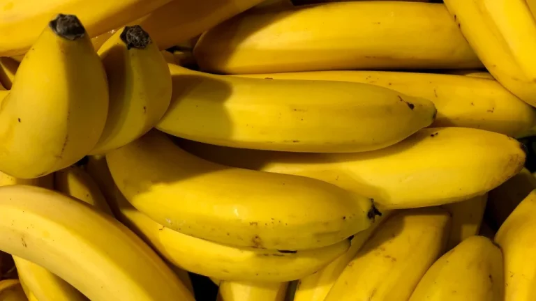 L&rsquo;Histoire Tragique des Guerres de la Banane