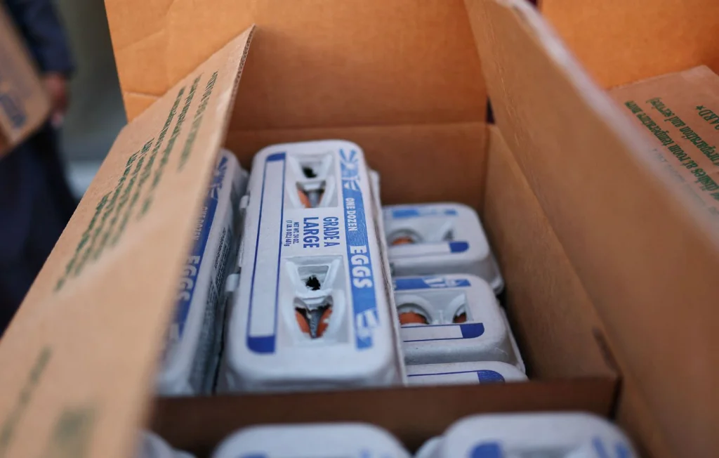 Pénurie d'œufs aux États-Unis : importations en urgence