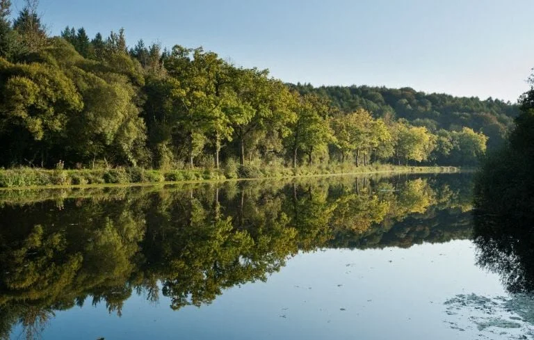 Pollution en Bretagne : 25.000 litres de fioul déversés dans une rivière