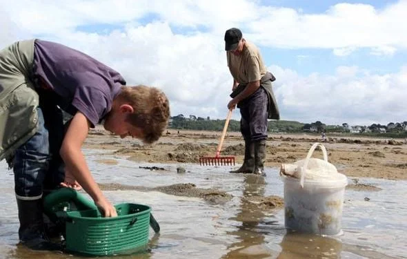 Réglementation de la pêche à pied : Tout savoir pour les marées