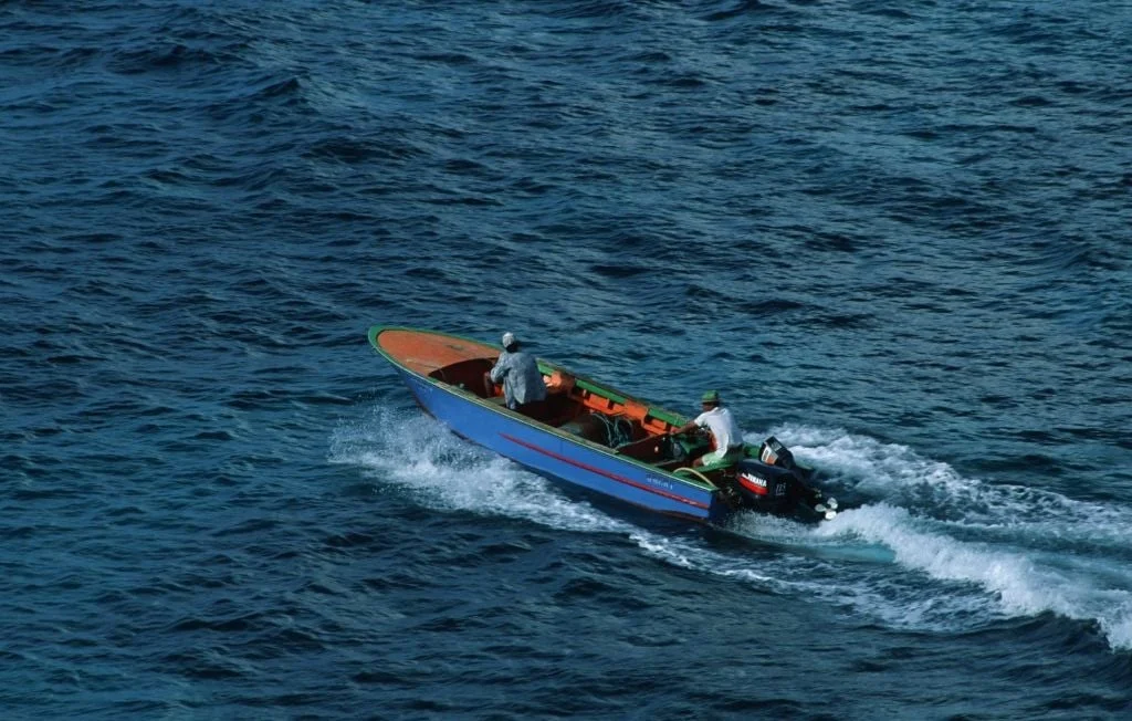 Saisie historique de 400 kg de lambis en Guadeloupe