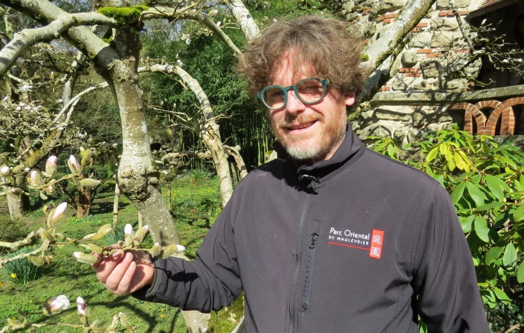 Un jardin japonais enchanteur à Maulévrier en Maine-et-Loire