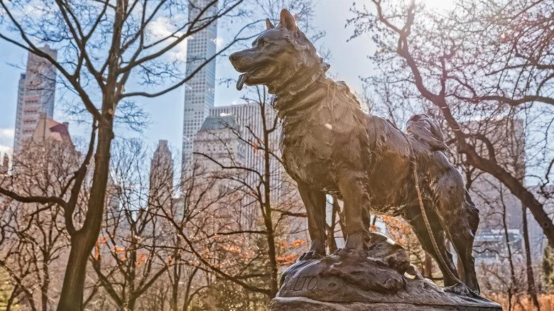 Statue de Balto dans Central Park