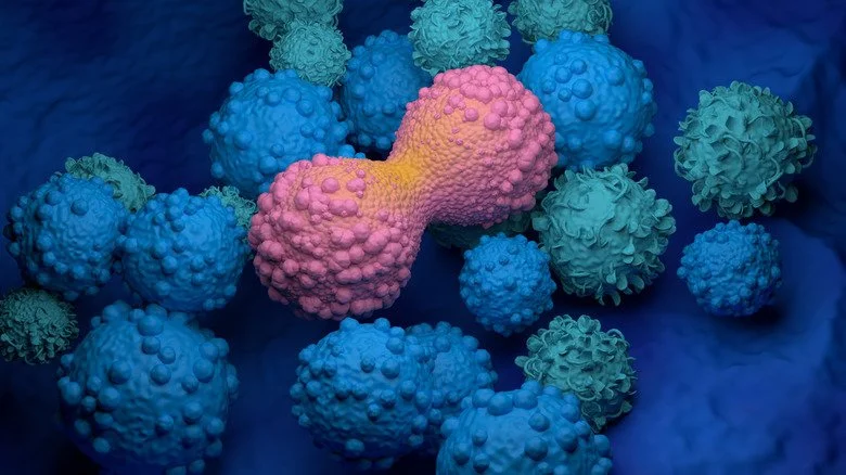 Illustration de cellules cancéreuses en division