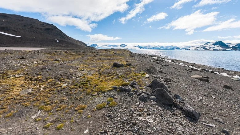 Côte rocheuse de l'Antarctique