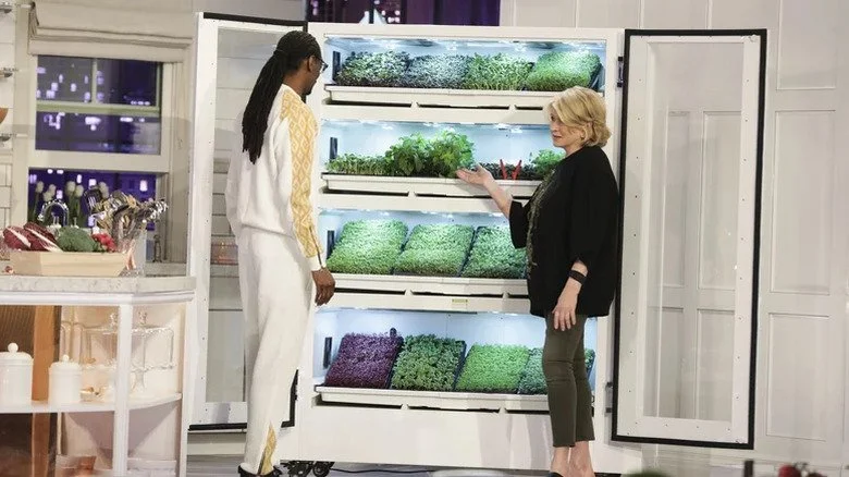 Snoop Dogg et Martha Stewart devant un réfrigérateur rempli de plantes