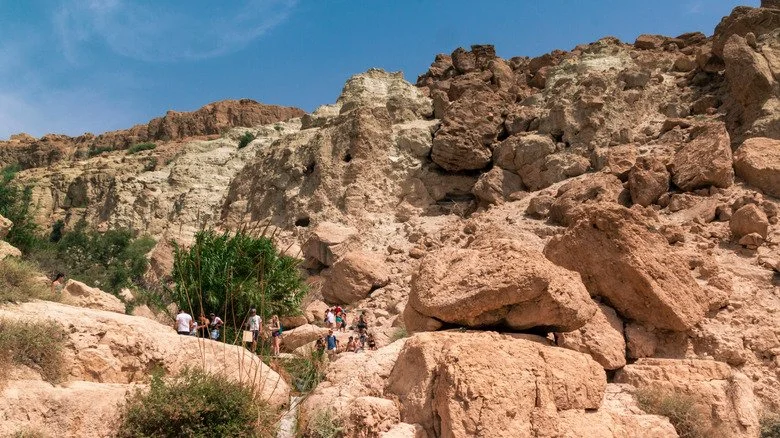 En Gedi Nature Reserve cliff face