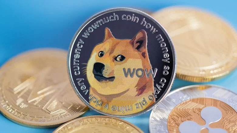 Kabosu, le Shiba Inu devenu célèbre grâce au mème Doge