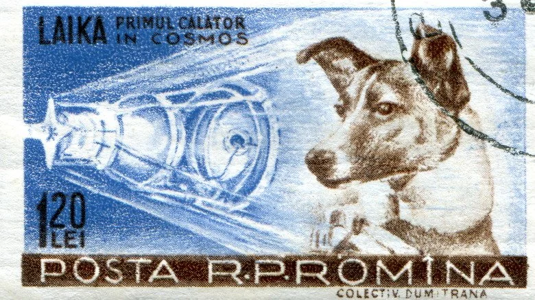 Timbre soviétique de Laika