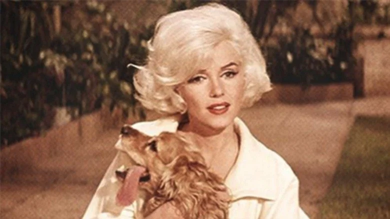 Marilyn Monroe et son chien dans Something's Got to Give
