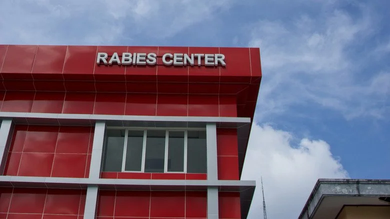 hôpital de la rage en Indonésie