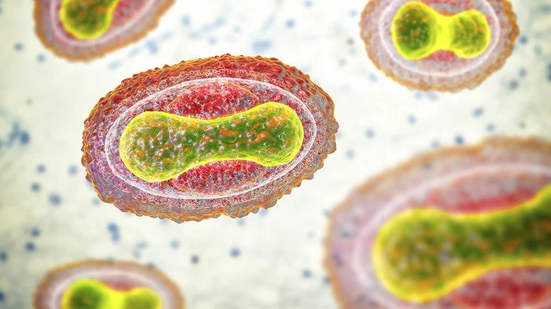 illustration du virus de la variole