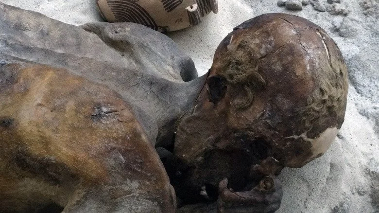 Momie égyptienne aux cheveux roux de Gebelein