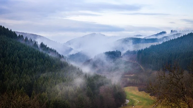Paysage du Sauerland, Allemagne