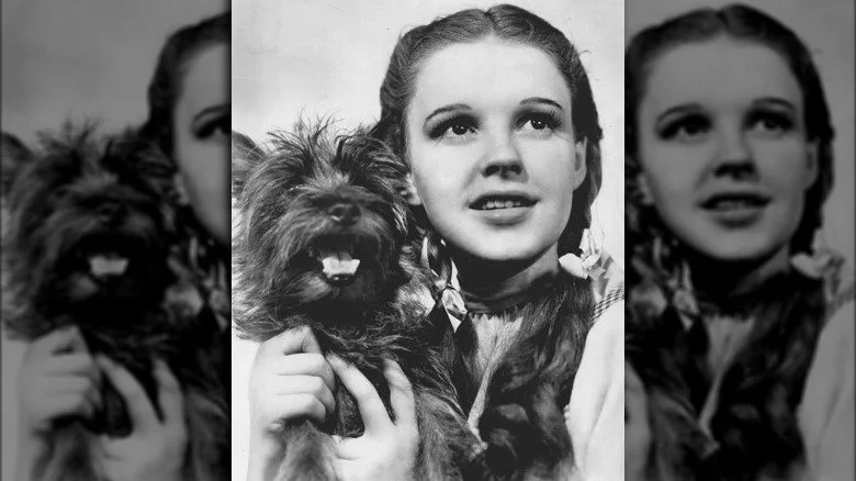 Toto et Dorothy dans Le Magicien d'Oz