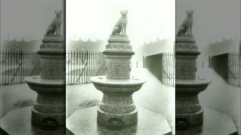 Statue du Chien Marron