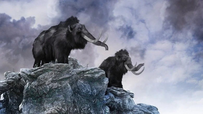 représentation de mammouths sur un promontoire rocheux