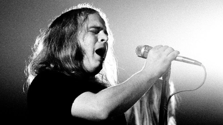 Ronnie Van Zant de Lynyrd Skynyrd chantant sur scène