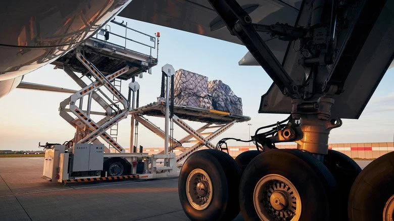 système d'atterrissage et rampe d'avion