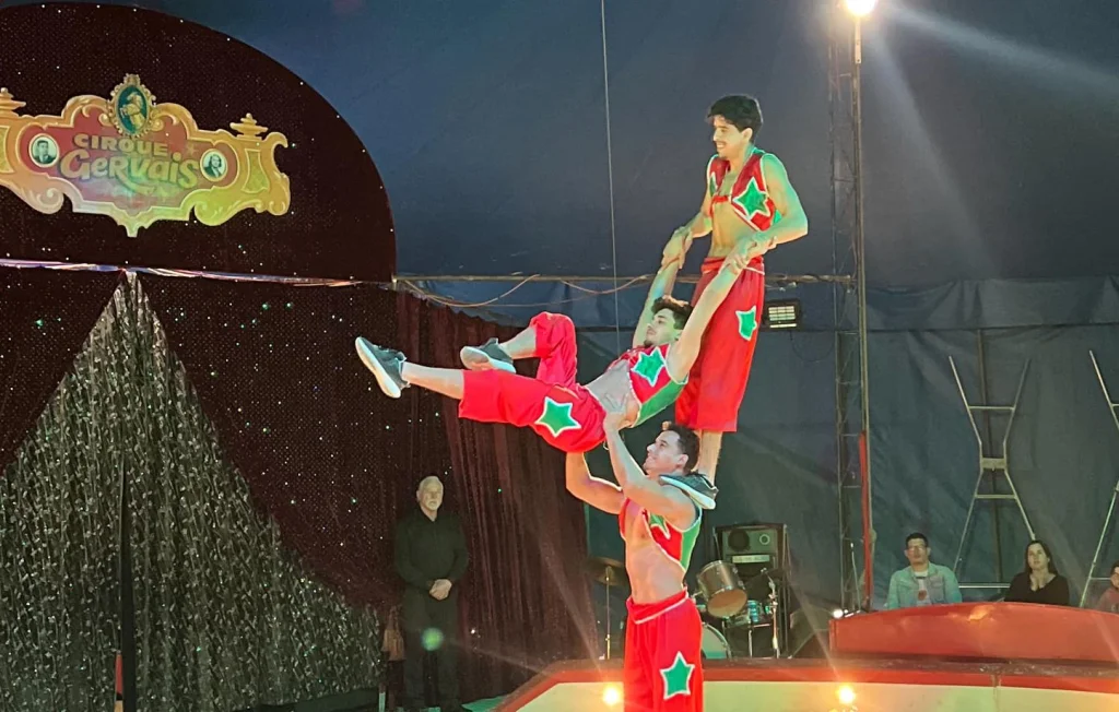 Accident dans un cirque en Loire-Atlantique : une erreur humaine