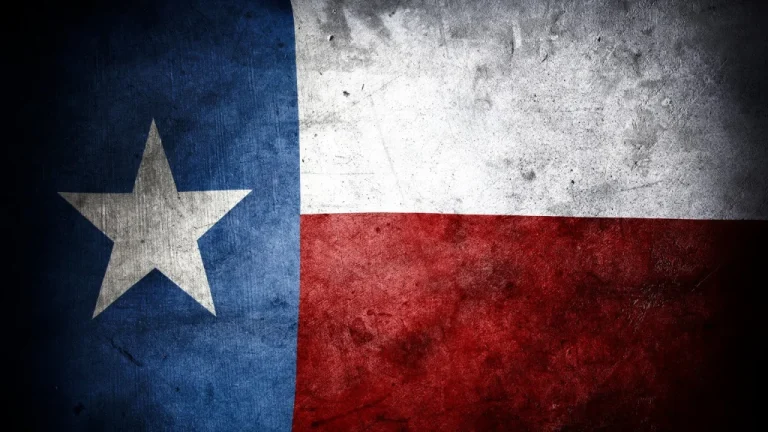 Comprendre l&rsquo;annexion du Texas par les États-Unis