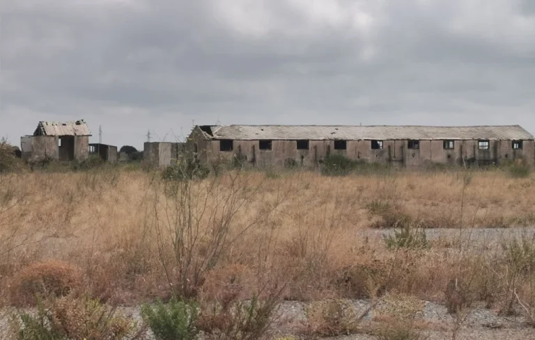 Découverte d&rsquo;ossements Harkis à Rivesaltes : Un héritage douloureux