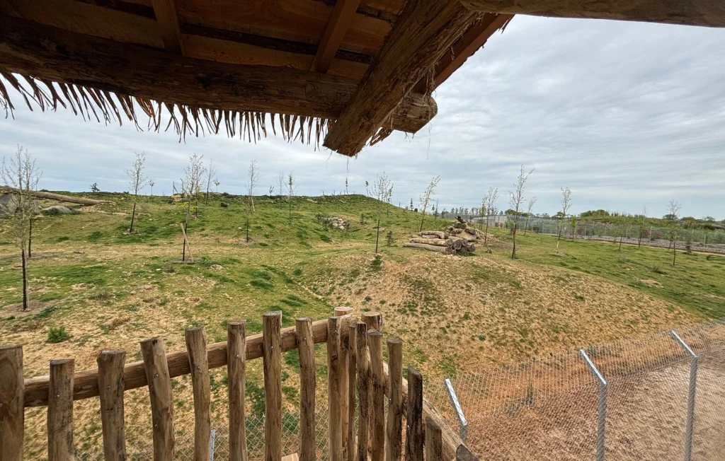Des Enclos XXL pour le Bien-Être Animal dans les Zoos Français