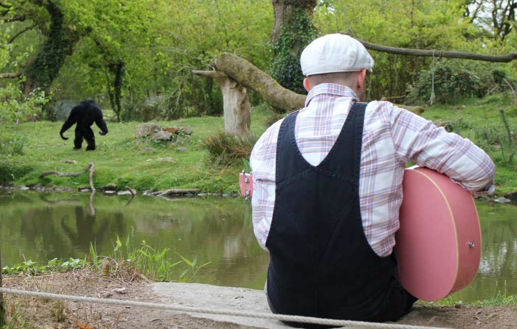 Des concerts pour animaux : une expérience musicale unique