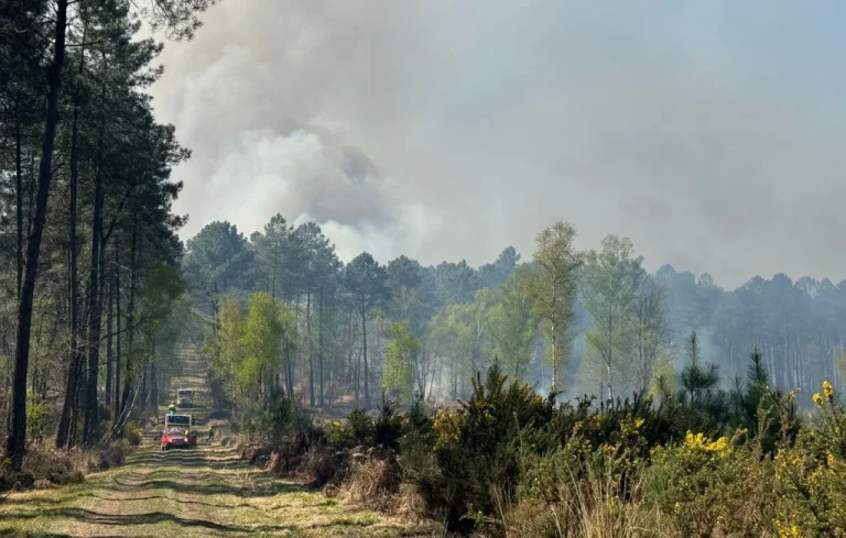 Incendie à La Breille-les-Pins : 200 pompiers mobilisés