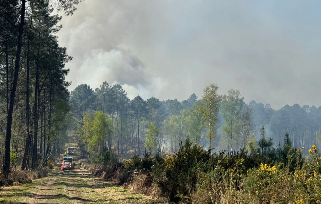 Incendie à La Breille-les-Pins : 200 pompiers mobilisés